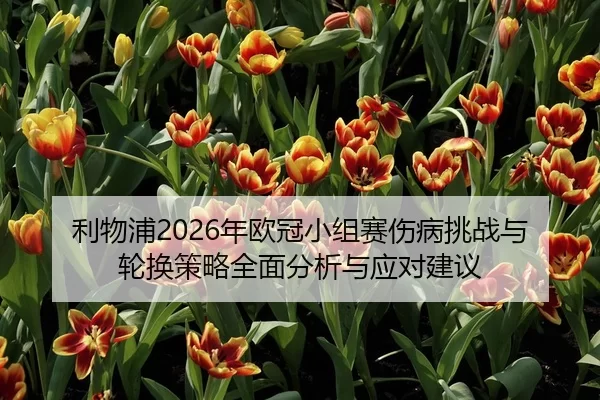 li-wu-pu-nian-ou-guan-xiao-zu-sai-shang-bing-tiao-zhan-yu-lun-huan-ce-lve-quan-mian-fen-xi-yu-ying-dui-jian-yi-2-497.jpg