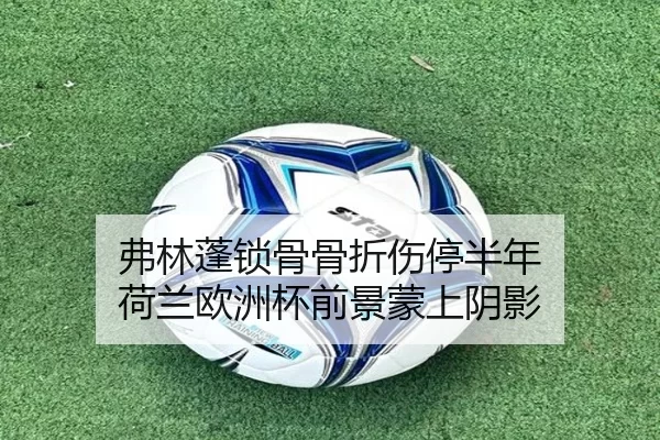 fu-lin-peng-suo-gu-gu-zhe-shang-ting-ban-nian-he-lan-ou-zhou-bei-qian-jing-meng-shang-yin-ying-2-602.jpg