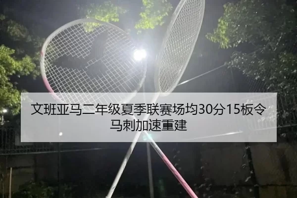 wen-ban-ya-ma-er-nian-ji-xia-ji-lian-sai-chang-jun-fen-ban-ling-ma-ci-jia-su-chong-jian-3-491.jpg
